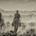 Visions of the Old West